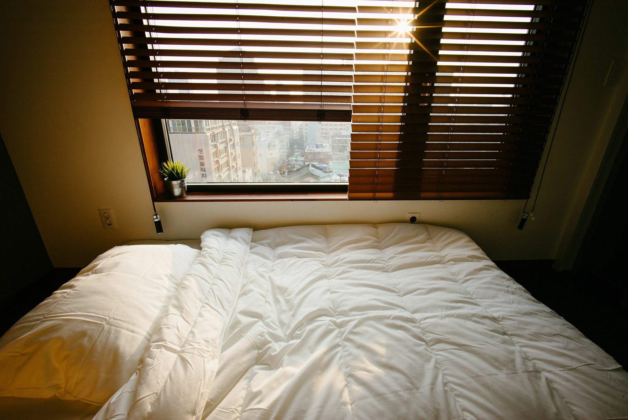 Morning Dew Guesthouse Пусан Екстериор снимка